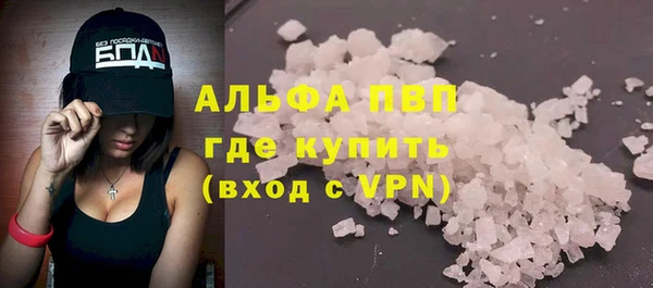 СК Горно-Алтайск