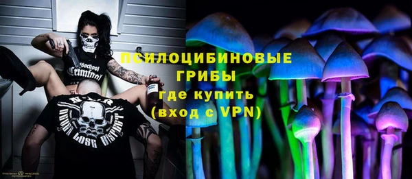 MDMA Premium VHQ Горнозаводск