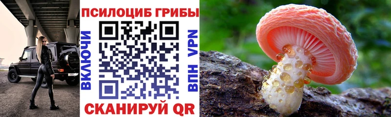 Псилоцибиновые грибы мицелий  Дзержинск 